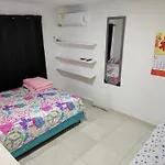 casa alison
